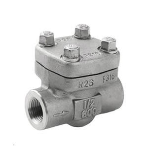 ASTM A182 F316 Piston Check Valve, API 602, 1/2 Inch, 800 LB