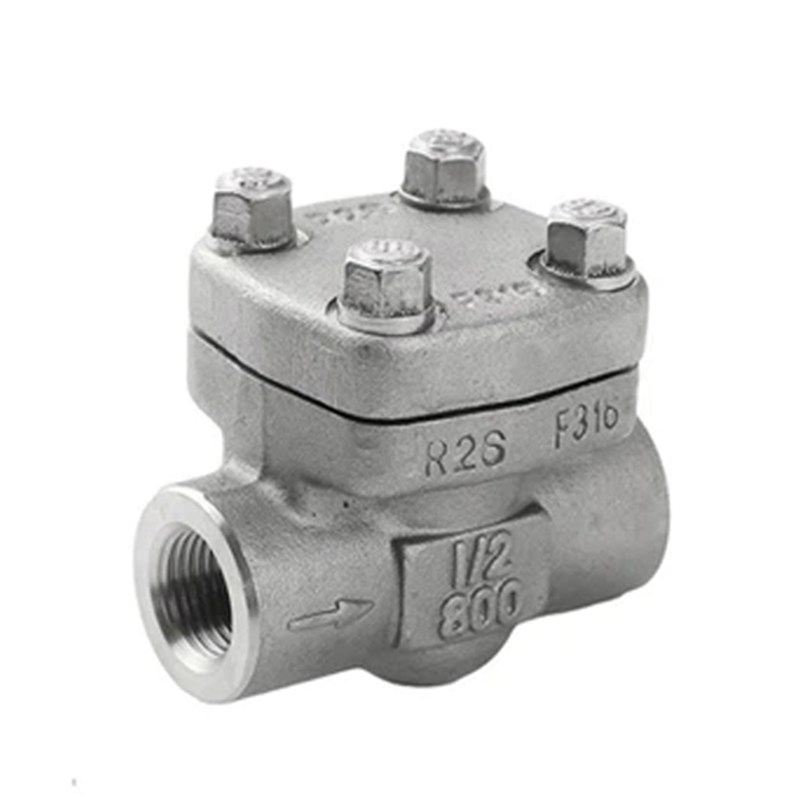 ASTM A182 F316 Piston Check Valve, API 602, 1/2 Inch, 800 LB
