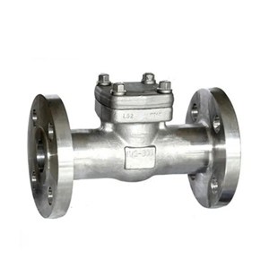 ASTM A182 F316 Piston Check Valves, API 602, 1-1/2 IN, CL800, RF