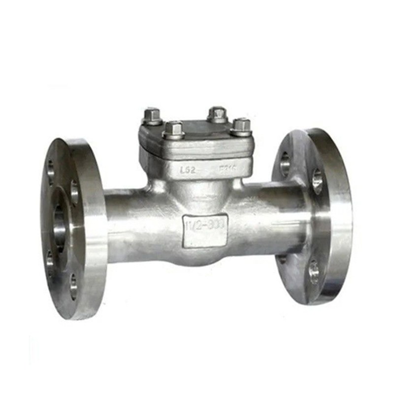 ASTM A182 F316 Piston Check Valves, API 602, 1-1/2 IN, CL800, RF
