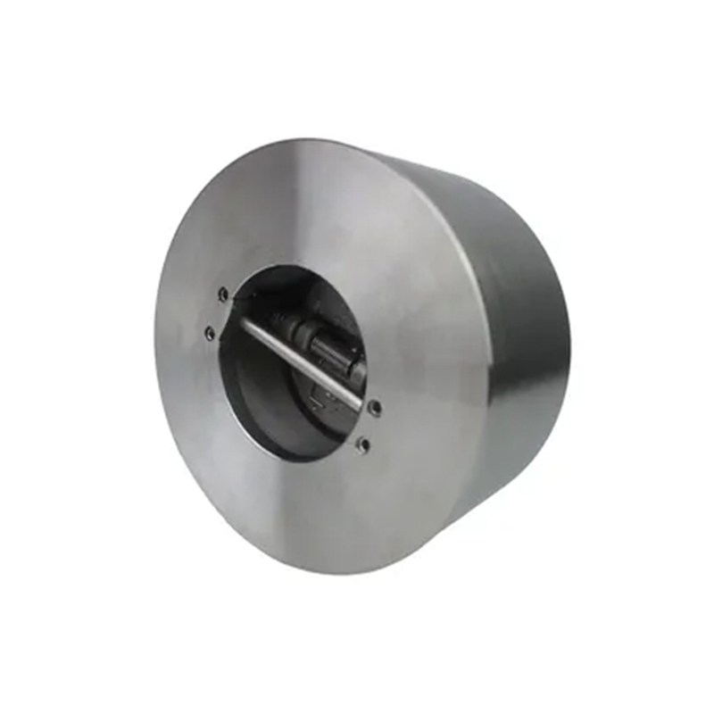 ASTM A182 F316 Wafer Check Valve, API 594, 2 Inch, CL1500