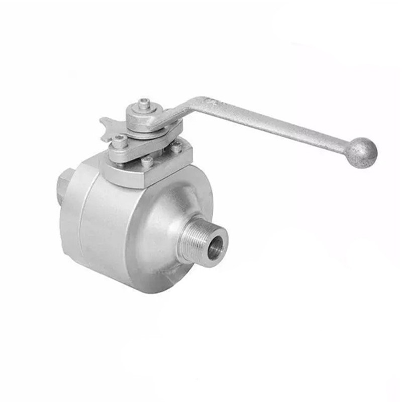 ASTM A182 F316L Floating Ball Valves, 2-piece, DN20, PN260