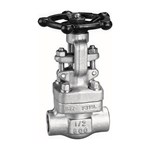 ASTM A182 F316L Gate Valve, API 602, 1/2 IN, 800 LB, BB, SW