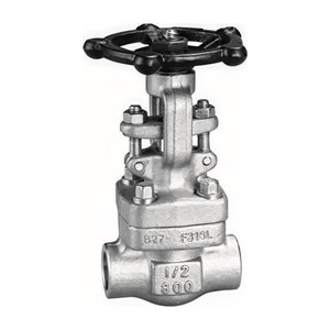 ASTM A182 F316L Gate Valve, API 602, 1/2 IN, 800 LB, BB, SW
