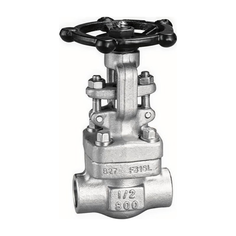 ASTM A182 F316L Gate Valve, API 602, 1/2 IN, 800 LB, BB, SW