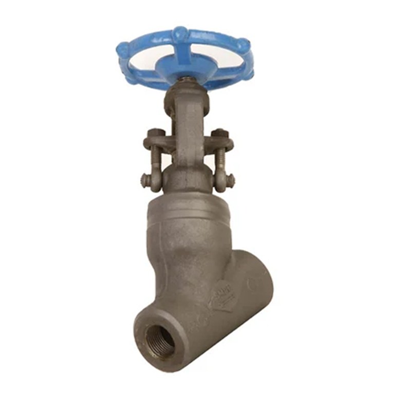 ASTM A182 F321H Globe Valve, API 602, 1 Inch, CL1500, BW, WB