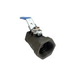 ASTM A216 WCB Ball Valves, ASME B16.34, 2PC, 1 IN, 1000 PSI