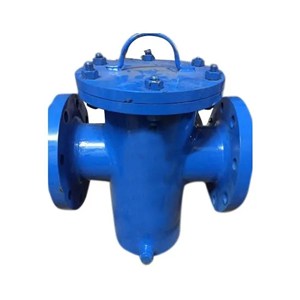 ASTM A216 WCB Basket Strainers, ANSI B16.34, 24 Inch, 150 LB