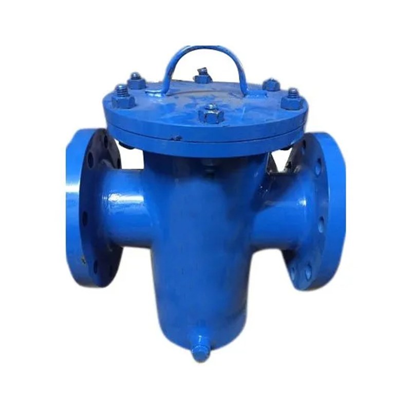 ASTM A216 WCB Basket Strainers, ANSI B16.34, 24 Inch, 150 LB