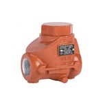 ASTM A216 WCB Check Valve, 2 Inch, 3000 PSI, Full Port, NPT