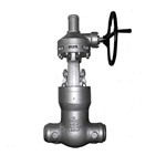 ASTM A216 WCB Globe Valve, BS 1873, 5 Inch, 2500 LB, PSB, BW