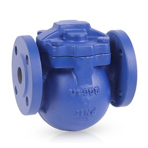ASTM A216 WCB Steam Trap, ISO 6552, EN 26704, DN25, PN16