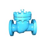 ASTM A216 WCB Swing Check Valve, API 6D, 3 IN, CL300, RF