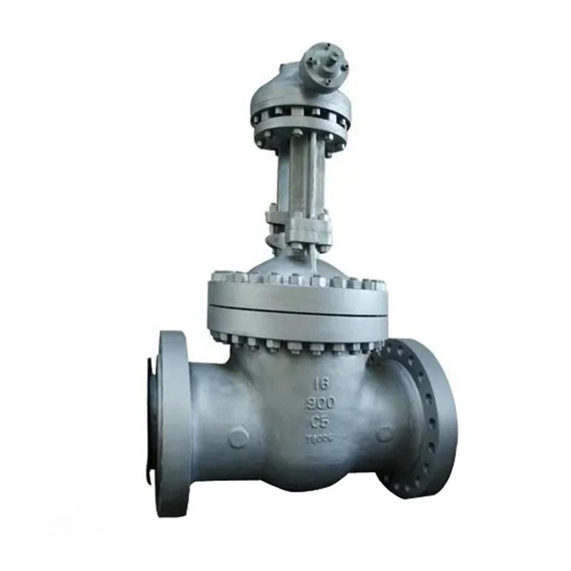 ASTM A217 C5 Wedge Gate Valve, API 600, 16 Inch, CL900, RTJ