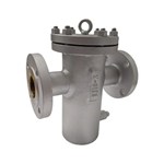 ASTM A312 TP316 Basket Strainer, ANSI B16.34, 2 IN, CL100, RF