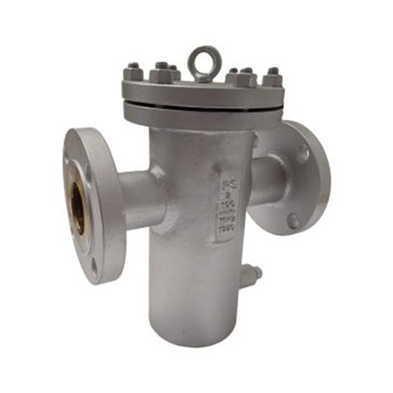 ASTM A312 TP316 Basket Strainer, ANSI B16.34, 2 IN, CL100, RF