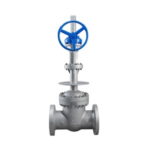 ASTM A351 CF3M Cryogenic Gate Valve, API 600, 10 Inch, CL600