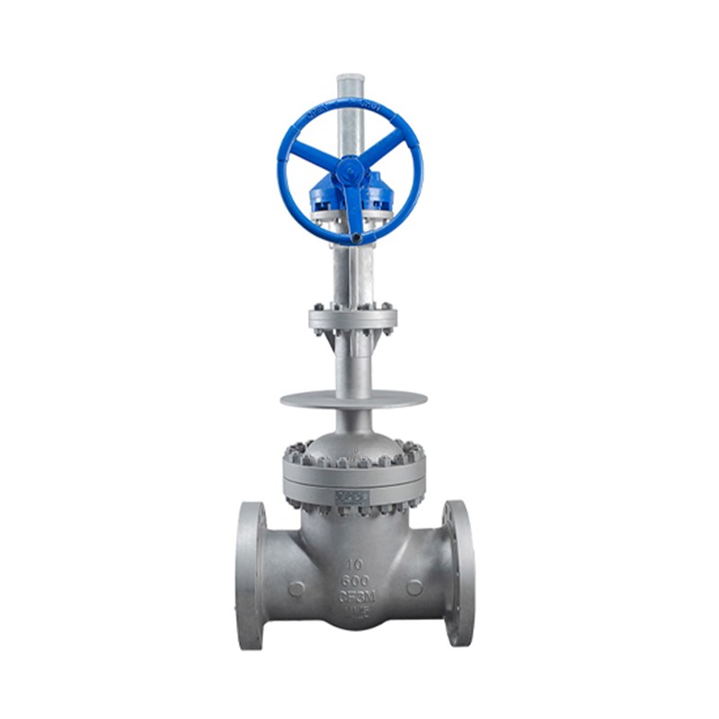 ASTM A351 CF3M Cryogenic Gate Valve, API 600, 10 Inch, CL600