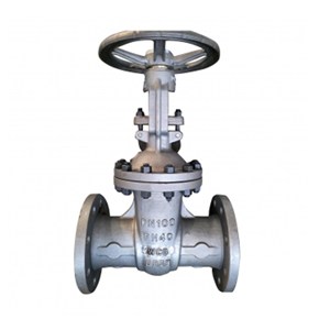 ASTM A351 CF3M Wedge Gate Valve, DIN 3352, DN100, PN40, RF