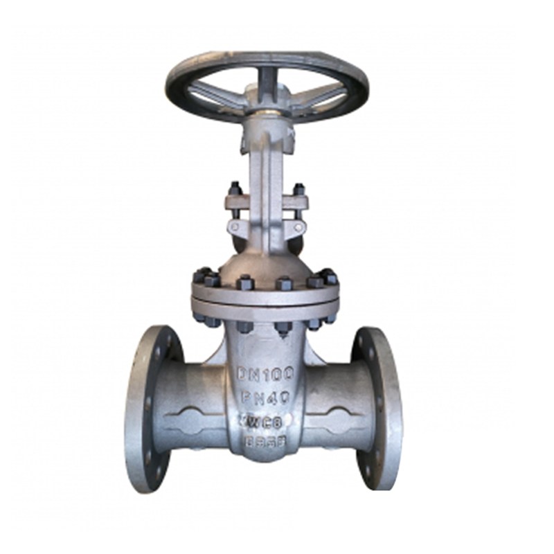ASTM A351 CF3M Wedge Gate Valve, DIN 3352, DN100, PN40, RF