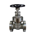 ASTM A351 CF8 Globe Valves, ASME B16.34, DN100, PN100, RTJ