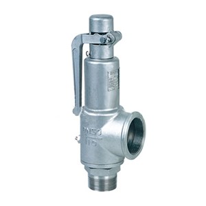 ASTM A351 CF8 Safety Valves, DN50, PN10, Full Lift, Threaded