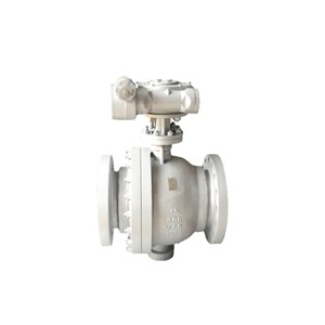 ASTM A351 CF8 Trunnion Ball Valves, API 6D, 2PC, 10 IN, CL100