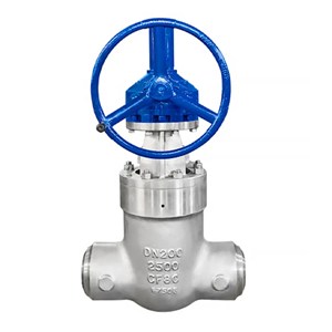 ASTM A351 CF8C Gate Valve, API 600, DN200, PN2500, PSB, BW