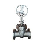 ASTM A351 CF8M Wedge Gate Valve, API 600, 10 Inch, CL600, RF