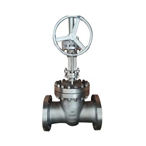 ASTM A351 CF8M Wedge Gate Valve, API 600, 10 Inch, CL600, RF