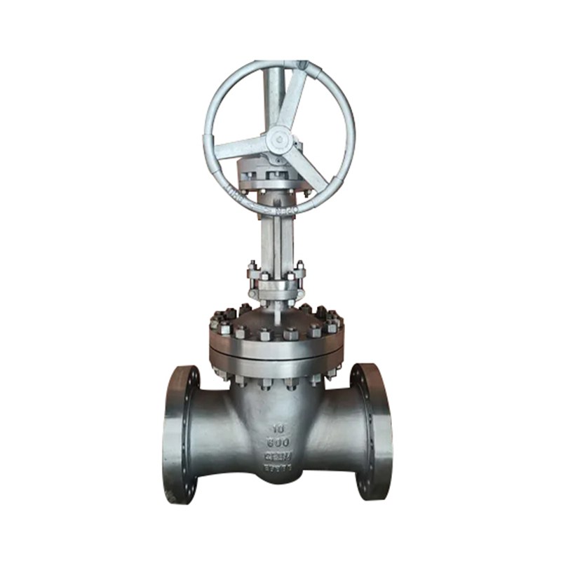 ASTM A351 CF8M Wedge Gate Valve, API 600, 10 Inch, CL600, RF