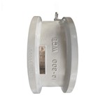 ASTM A352 LCC Wafer Check Valve, API 594, 10 Inch, CL300, RF