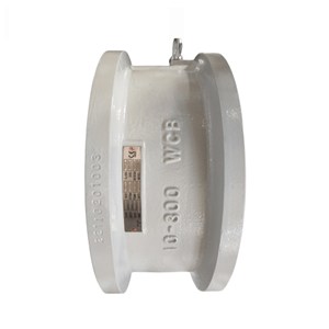 ASTM A352 LCC Wafer Check Valve, API 594, 10 Inch, CL300, RF
