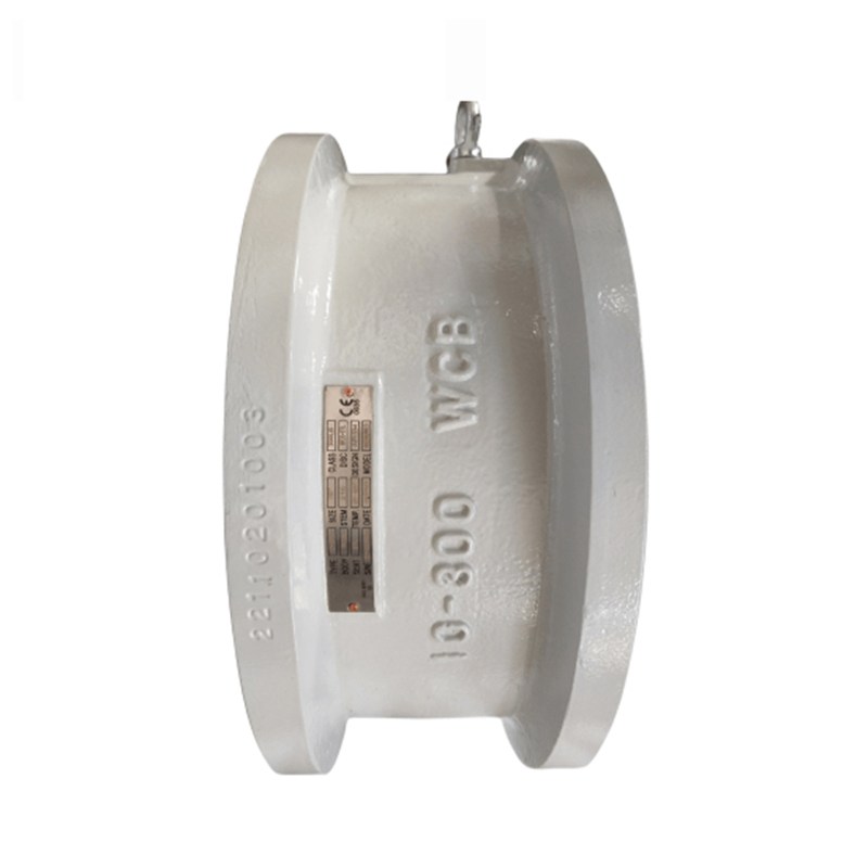 ASTM A352 LCC Wafer Check Valve, API 594, 10 Inch, CL300, RF