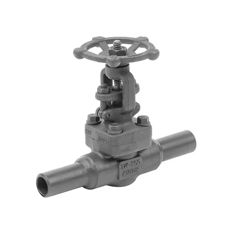 ASTM A352 LF2 Gate Valve, API 602, 3/4 IN, CL800, Extended Body, BW