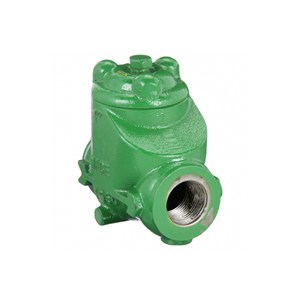 ASTM A395 Swing Check Valves, Ductile Iron, 1 Inch, 2000 PSI