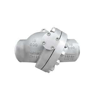 ASTM A494 CW6MC Check Valve, ASME B16.34, 10 IN, CL600, BW