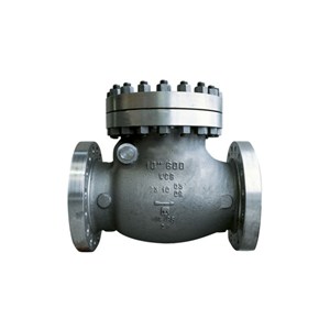 ASTM A494 CW6MC Swing Check Valve, API 6D, 10 IN, CL600, RF