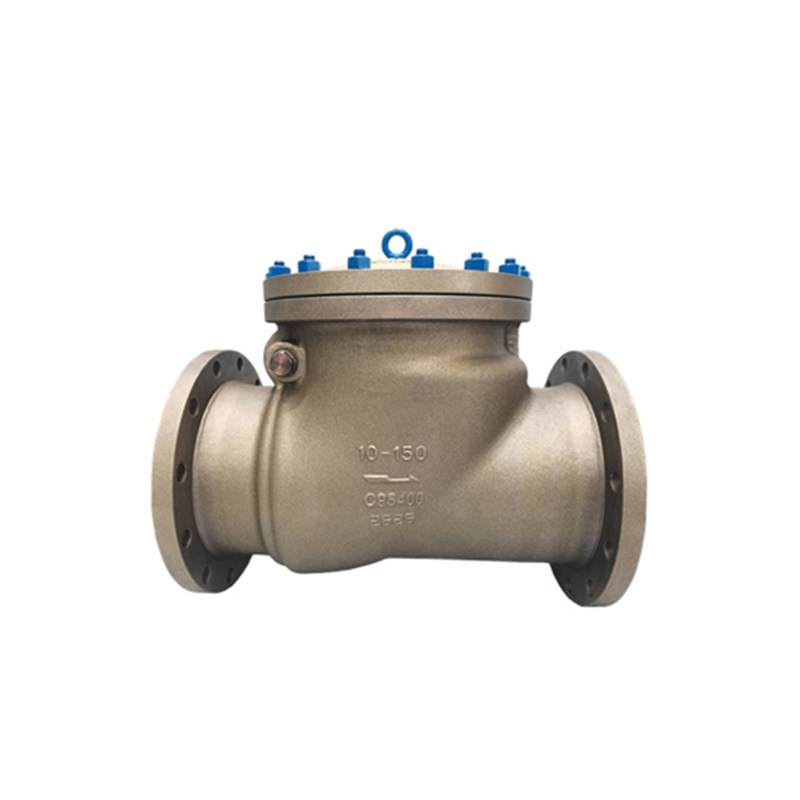 ASTM B148 C95400 Check Valve, BS 1868, 10 Inch, 150 LB, RF