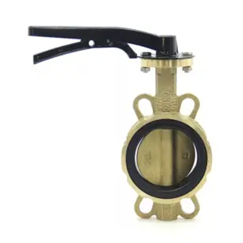 ASTM B148 C95400 Concentric Butterfly Valve, API 609, 4 Inch