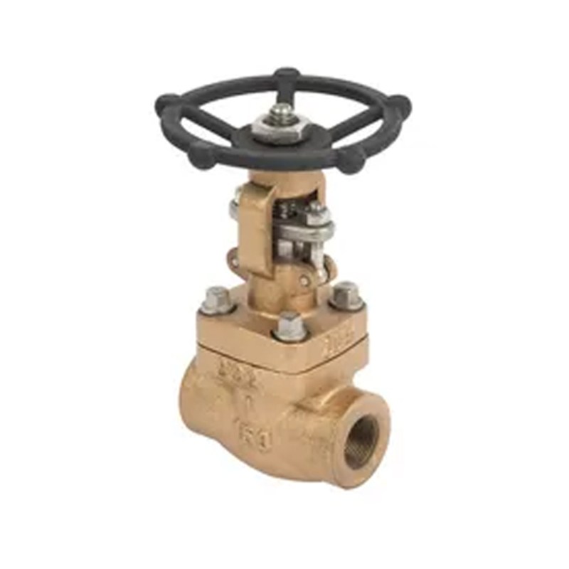 ASTM B148 C95500 Gate Valve, API 602, 2-1/2 IN, CL800, FNPT