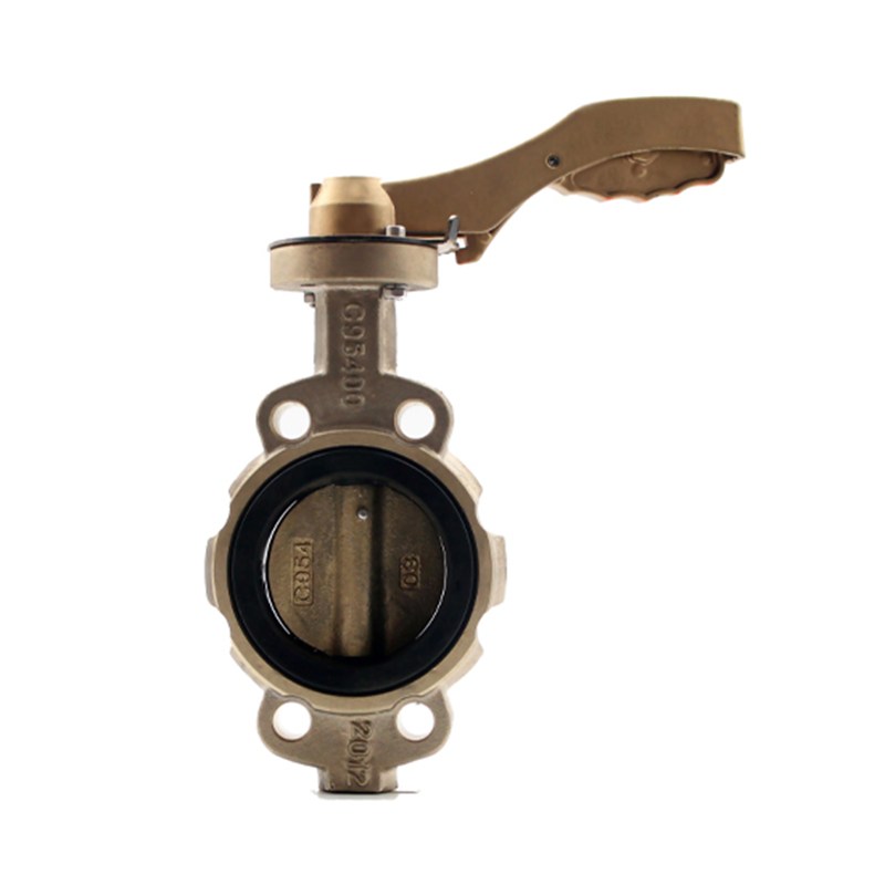 ASTM B148 C95800 Butterfly Valve, API 609 CAT B, 3 IN, CL150