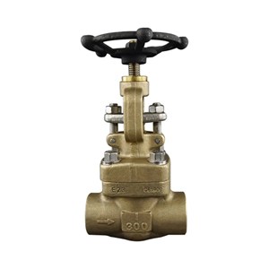 ASTM B150 C61900 Globe Valve, API 602, 1 Inch, CL300, FNPT