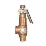ASTM B62 C83600 Safety Valve, Bronze, DN25, PN10, Threaded