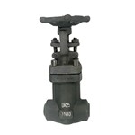 Bellows Seal Gate Valve, API 602, ASTM A105N, DN25, PN40