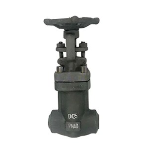 Bellows Seal Gate Valve, API 602, ASTM A105N, DN25, PN40