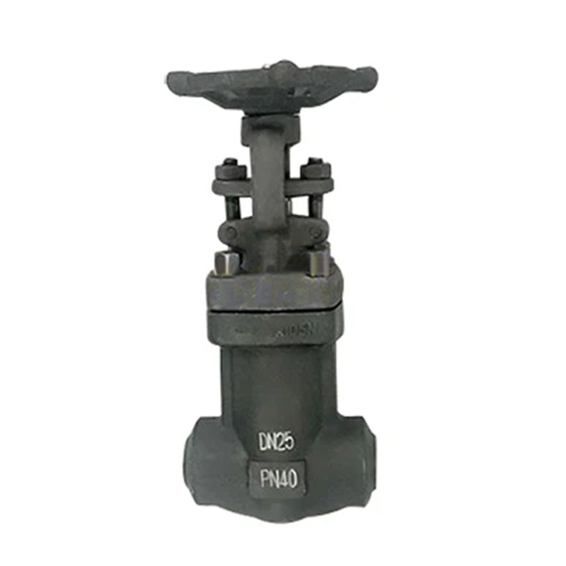 Bellows Seal Gate Valve, API 602, ASTM A105N, DN25, PN40