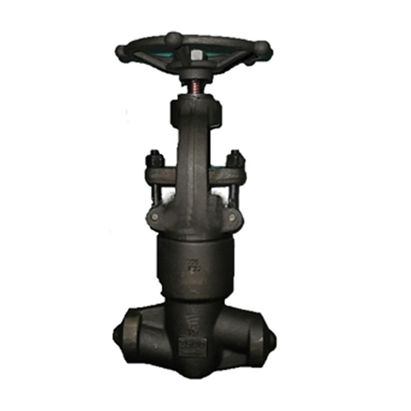 Bellows Sealed Gate Valve, API 602, A105N, 2500WOG, SW