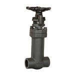 Bellows Sealed Gate Valves, API 602, A105N, 1 IN, 800 LB, SW