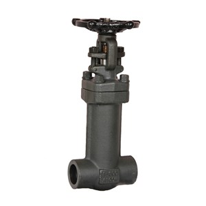 Bellows Sealed Gate Valves, API 602, A105N, 1 IN, 800 LB, SW
